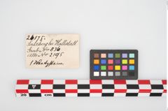 Etikett zu Schleifstein (NHMW-PRAE-026175)